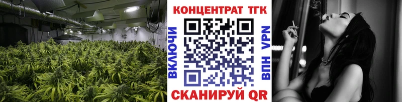OMG Талдом ТГК THC oil
